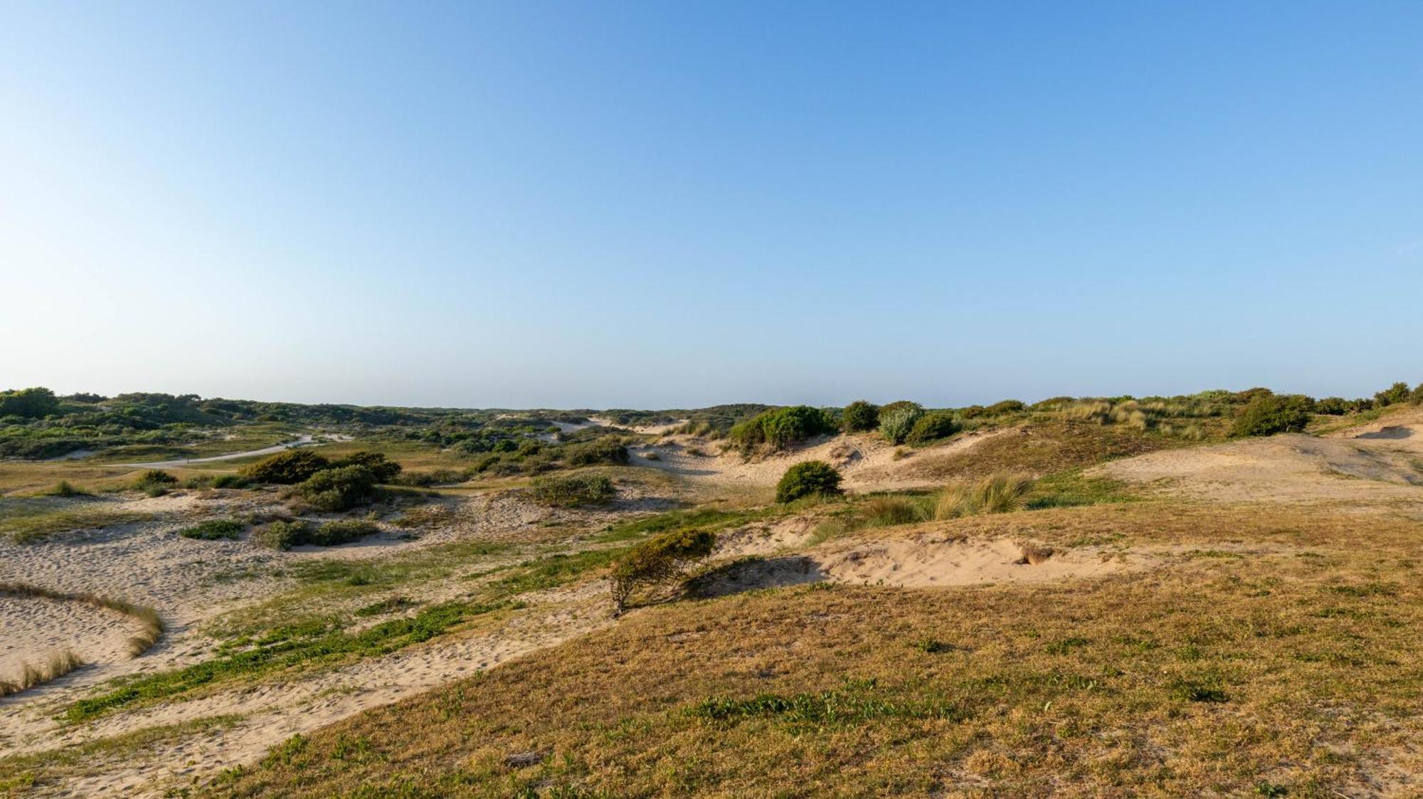 Beach Lodge 24 - Noordwijk Aan Zee - Met Eigen Tuin Esterno foto