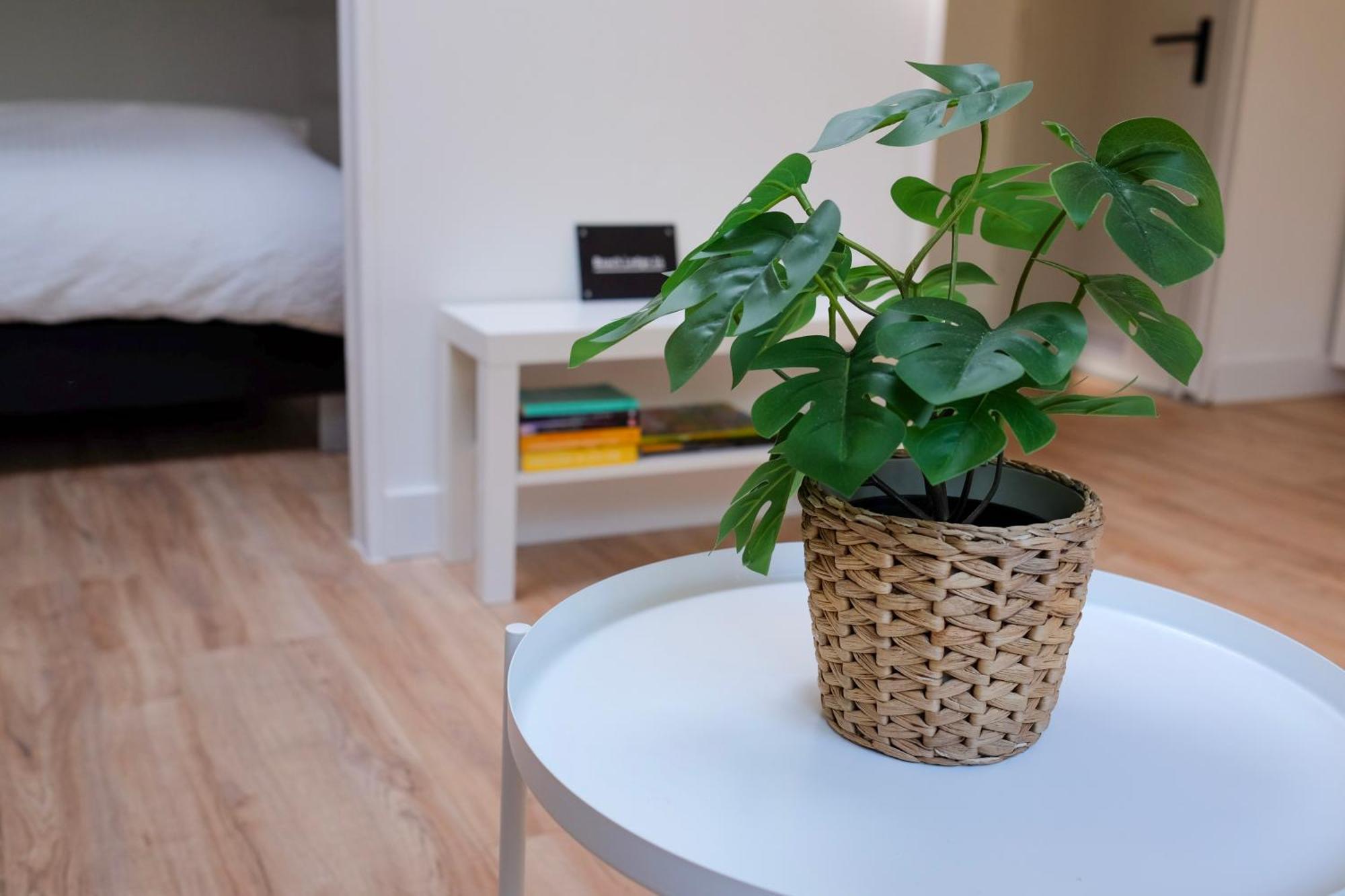 Beach Lodge 24 - Noordwijk Aan Zee - Met Eigen Tuin Esterno foto
